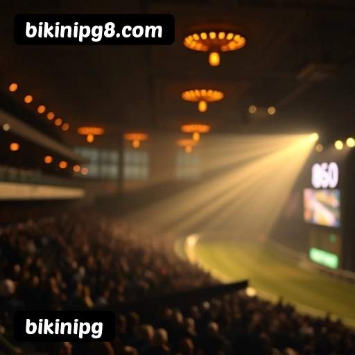 Estatísticas bikinipg novembro 2024 - 87 mil jogadores ativos, R$47M pagos, RTP 96.52%